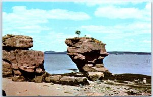 Postcard - Pulpit Rock, West Shore of Passamaquoddy Bay, Maine, USA