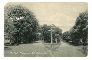 MI - Fenton. The Fork, Shiawassee Avenue Street Scene  (corner missing)