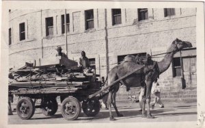 RPPC: 1951, Camel Drawn Cart, Pakistan, Used (PC1447)