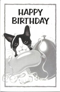 Happy Birthday Cat  Modern Belgian artist drawn  postcard