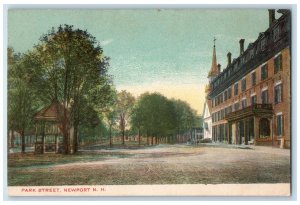 c1920s Park Street Building Scene Newport New Hampshire NH Unposted Postcard 