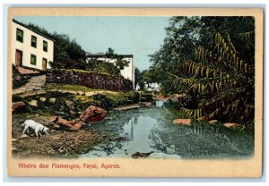 c1920's Ribeira Dos Flamencos Faial Azores Portugal Unposted Antique Postcard