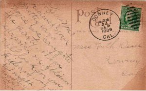 Lovely White Roses - in 1909