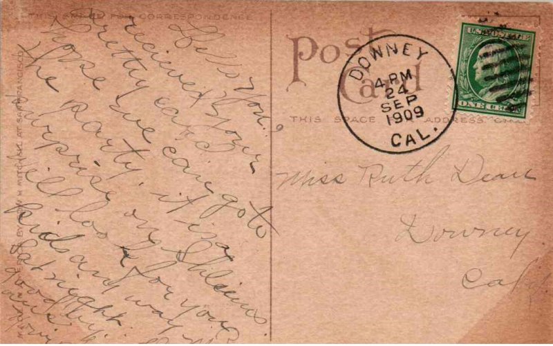 Lovely White Roses - in 1909