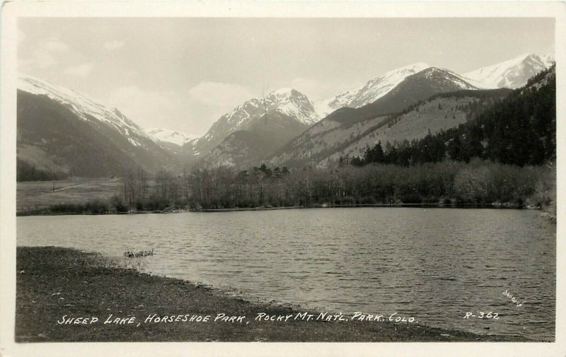 Sanborn RPPC Postcard R-362 Sheep Lake, Horseshoe Park, Rocky Mt. Nat'l Park CO