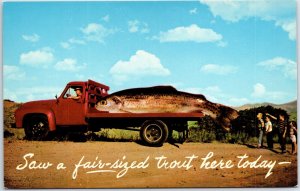 VINTAGE POSTCARD EXAGGERATED SIZE TROUT FISH ON BACK OF TRUCK AND KIDS c. 1950s