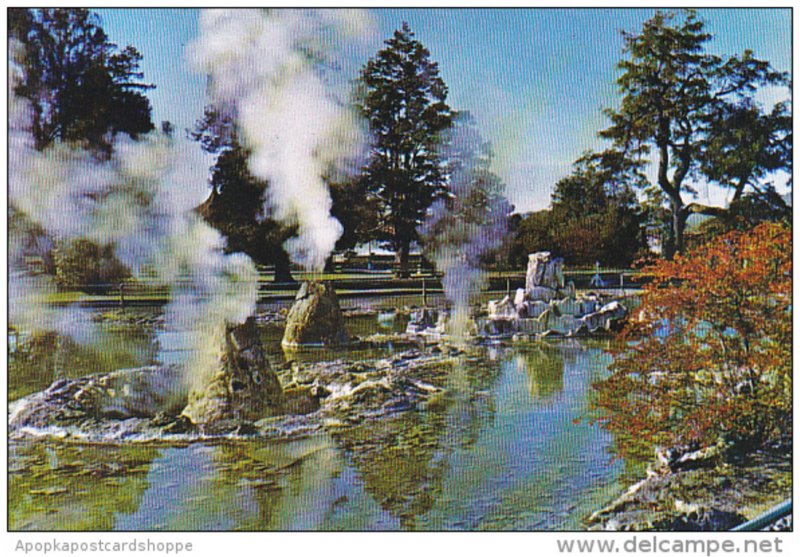 New Zealand Thermal Vents In The Government Gardens Rotorua