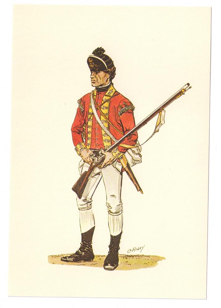 Light Infantryman British 38th Regiment of Foot | Topics - Militaria ...