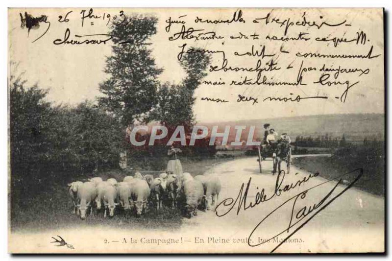 Old Postcard Folklore road full AttelageAne Mule Sheep