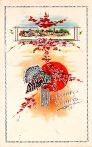 Thanksgiving Greetings With Turkey