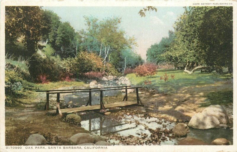 Postcard California Santa Barbara Oak Park Detroit Publishing 23-5644