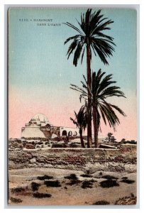 Marabout Dans l'Oasis Tunisia Africa UNP DB Postcard Y17