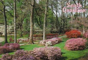 An Elaborate Display Of Colorful Azaleas And Dogwoods Await You Every Spring ...