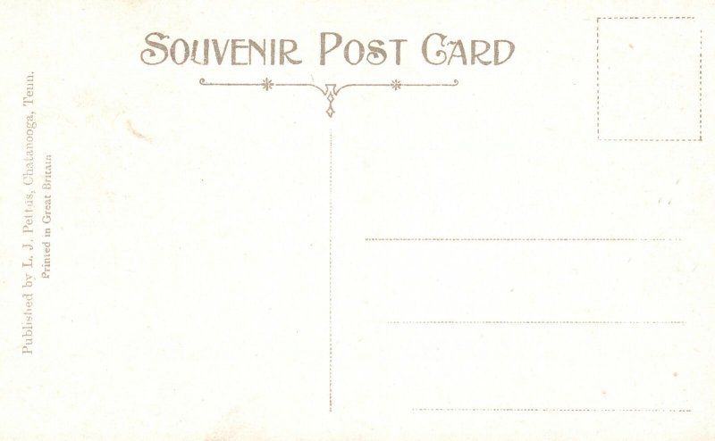 Vintage Postcard 1910's Lover's Leap Walden's Ridge Chattanooga Tennessee TN