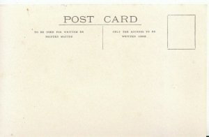 New Zealand Postcard - A Sheep Droving Scene - Ref 2541A