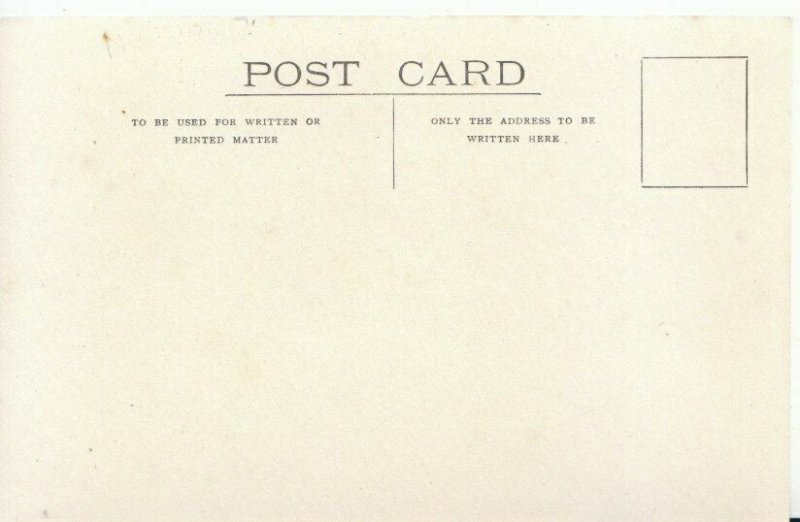 New Zealand Postcard - A Sheep Droving Scene - Ref 2541A