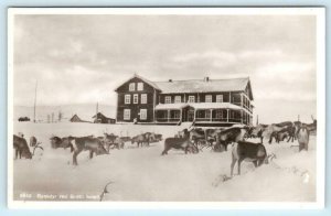 RPPC  GROTLI, NORWAY  Reindeer RENSDYR at GROTLI HOTEL Snowy   Postcard