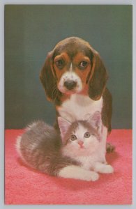 Cats~Hound Puppy & Kitten~Cant We Be Friends~Vintage Postcard