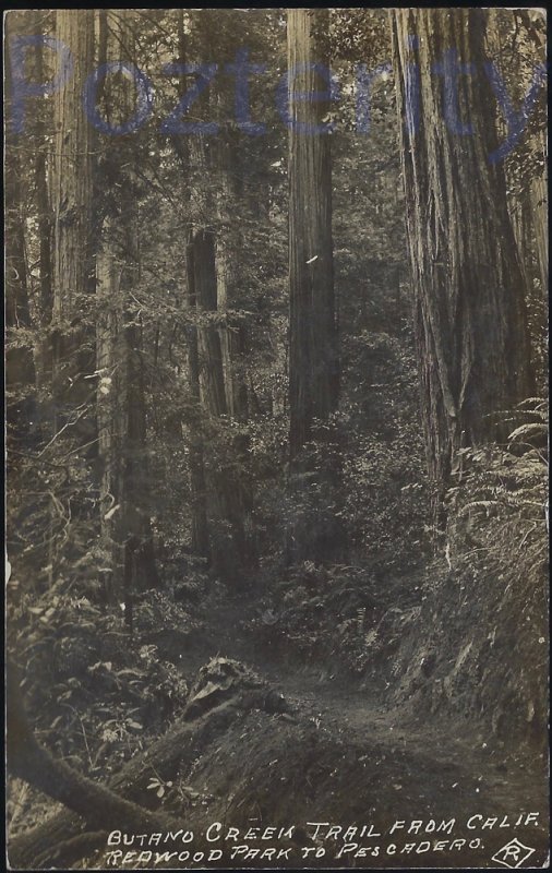 RPPC BUTANO CREEK TRAIL FROM REDWOOD PARK TO PESCADERO 1910 CALIFORNIA