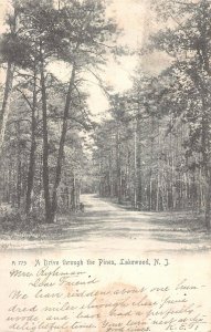 LAKEWOOD NEW JERSEY~A DRIVE THROUGH THE PINES~1906 ROTOGRAPH PHOTO POSTCARD