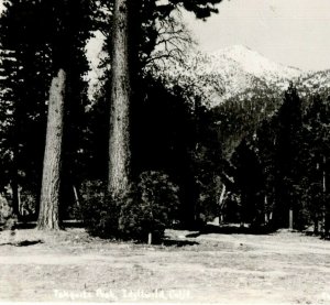 Vintage RPPC Tahquitz Peak, Idyllwild, CA Postcard P87