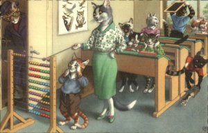 Alfred Mainzer Dressed Cat Fantasy Postcard SCHOOL MATH CLASS #4914