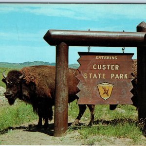 c1960s Custer State Park SD Buffalo Buffalo MGM Last Hunt Movie Chrome PC A303