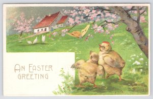 Easter~Chicks Stare At Yellow Butterfly~Farm~Hens~Gold Leaf~Emb~BW 313~1908 PC