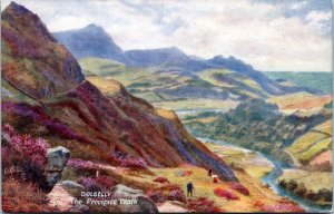 Postcard UK Wales Tuck Dolgelly 7095 - The Precipice Walk