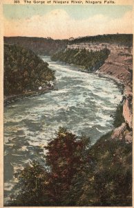 Vintage Postcard 1920's The Gorge of Niagara River Niagara Falls New York Nature