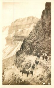 Postcard RPPC Arizona Grand Canyon Mule Train #63 23-2797