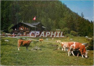 Old Postcard Switzerland Auberge Communale de Pont de Nant The Plains on Bex