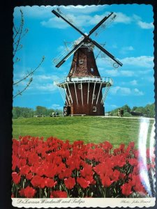 Vintage Postcard 1981 DeZwaan Windmill & Tulips Tulip Time Festival Holland Mich