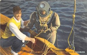 Diver Ascending from Sea Floor Tarpon Springs, Florida