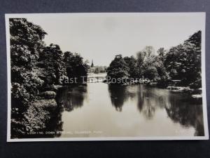 Nottinghamshire CLUMBER PARK c1957 Old RP Postcard by Valentine L4817