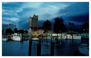 Postcard PIER SCENE Sarasota Florida FL AT2431