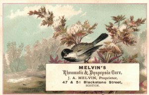 1880s-90s Melvin's Rheumatic & Dyspepsia Cure Blackstone Street Boston MA #2