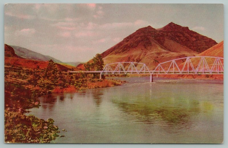 Nex Perce Natl Forest Idaho~Bridge Going over Salmon River~Vintage Postcard