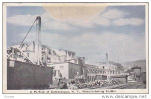 Manufacturing Section, A Portion of Cattaraugus, New York, 10-20s