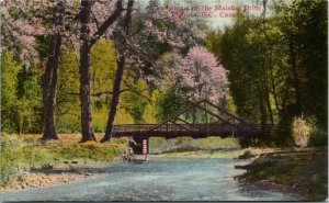 Postcard BC Victoria Goldstream on the Malahat Drive Wooden Bridge 1940s K52