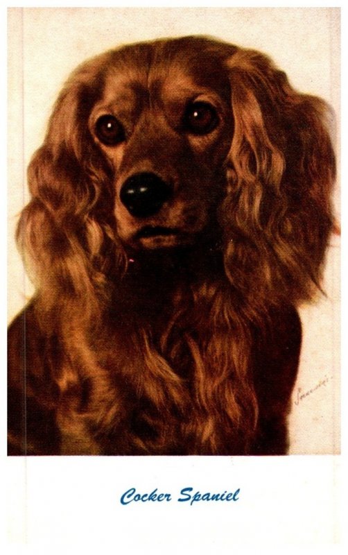 Dog , Cocker Spaniel   artist signed