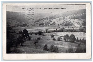 Catskill Mountains New York NY Postcard Batavia Kill Valley Ashland 1913 Vintage