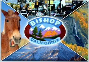 Postcard - Bishop, California
