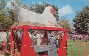 J77/ Belfast Maine Postcard Chrome Brooiler Chicken Day Capitol World 48