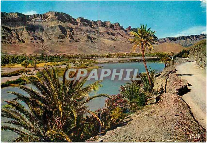 Postcard Modern Ouarzazate Moroccan South Region La Vallee and Oued Draa