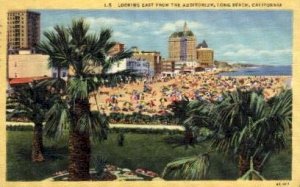 Looking East from the Auditorium - Long Beach, CA