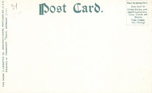 Vintage Postcard Boat Carry Bet. Lake Placid & Mirror Lake Adirondack Mts. NY