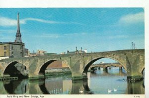 Scotland Postcard - Auld Brig and New Bridge - Ayrshire - Ref 10623A