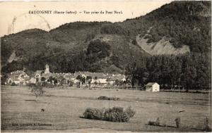 CPA  Faucogney (Haute-Saone) -Vue prise du Pont Neuf (452323)