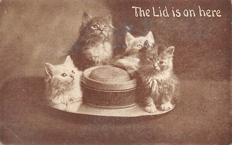 The Lid is on here Cat 1914 Missing Stamp 